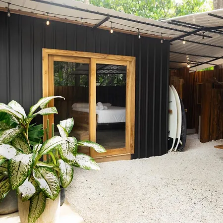 Zeneidas Surf Garden-3
